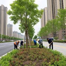 2026世界杯官网 江油城市绿化管理包含哪些项目